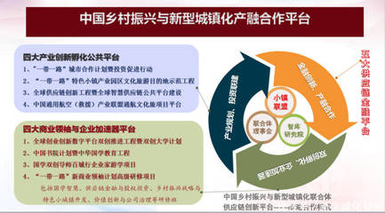 美丽特色小城镇电子商务产业投资运营管理策略